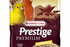 Prestige Premium Canary