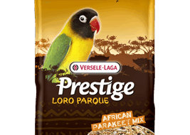 African Parakeet Mix